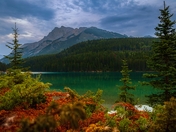 Fall Colours In Banff National Park