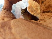 Zion National Park