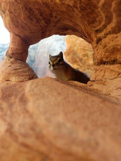 Zion National Park