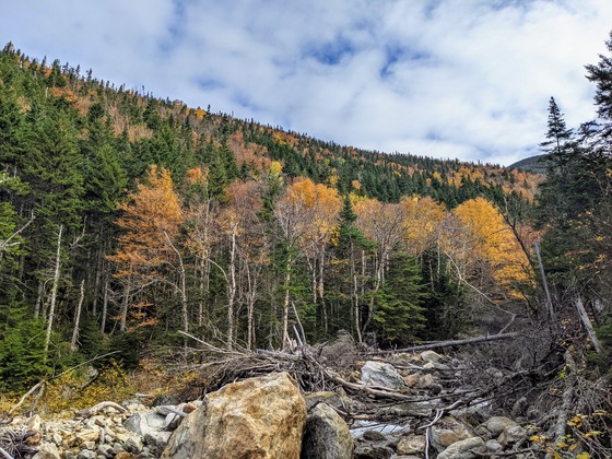 White Mountain National Forest