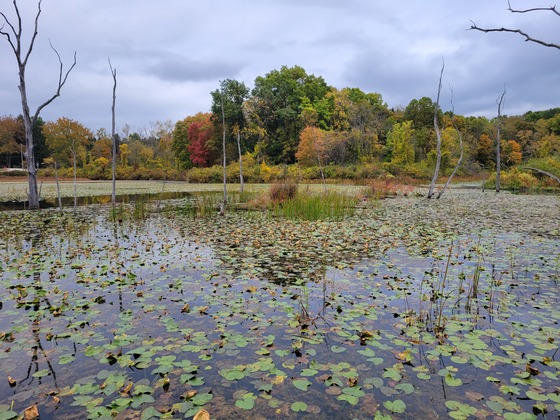 Cuyahoga Valley National Park 