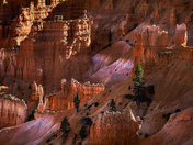 Bryce Canyon National Park