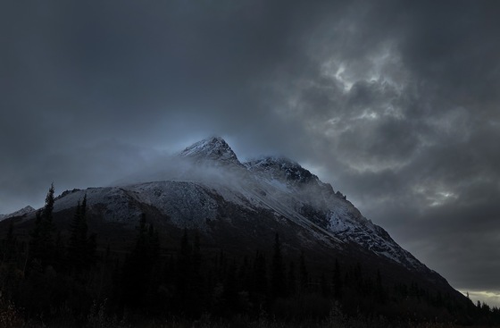 Denali National Park and Preserve