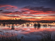 Ten Thousand Islands National Wildlife Refuge