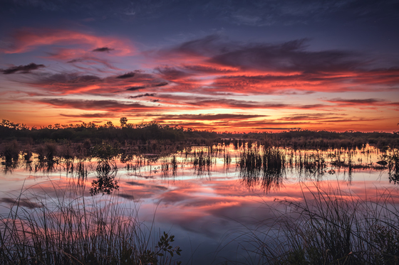 Ten Thousand Islands National Wildlife Refuge