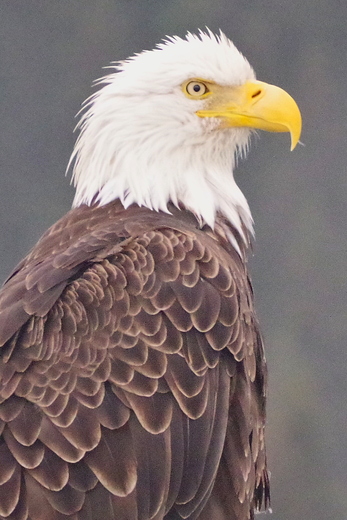 Kenai Fjords National Park