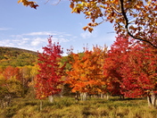 Acadia National Park