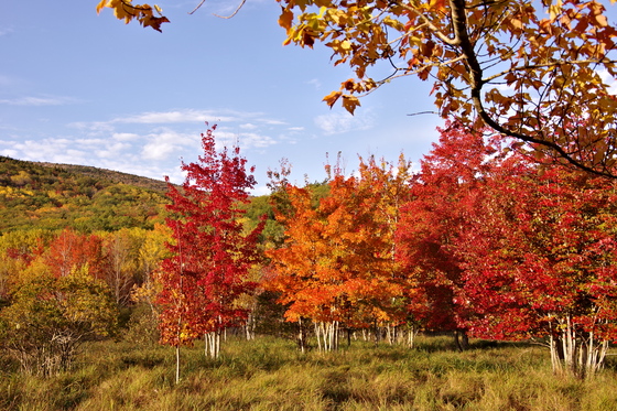 Acadia National Park