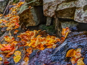 Acadia National Park