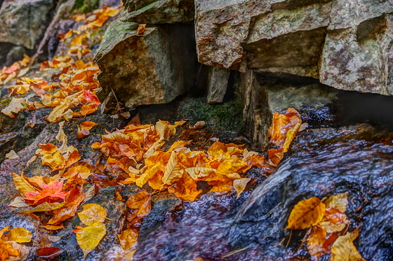 Acadia National Park