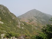 White Mountains National Forest