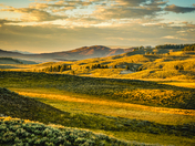 Yellowstone National Park