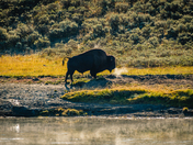 Yellowstone National Park