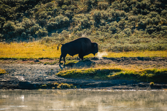 Yellowstone National Park