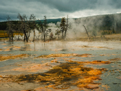 Yellowstone National Park