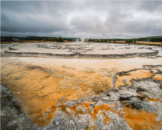 Yellowstone National Park