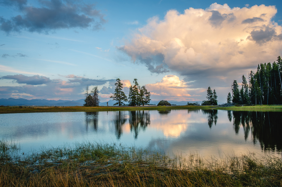 Yellowstone National Park