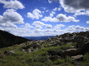 Custer Gallatin National Forest