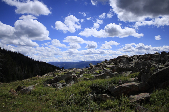 Custer Gallatin National Forest