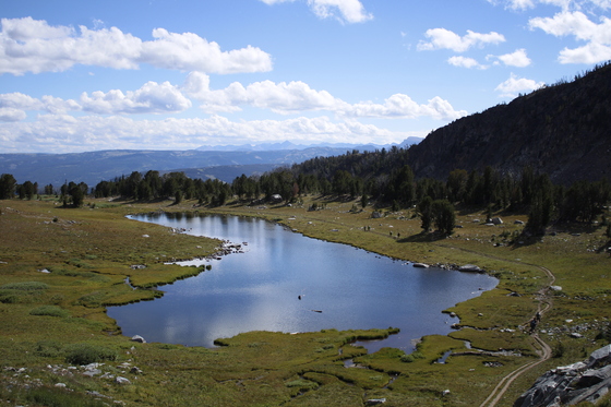 Custer Gallatin National Forest