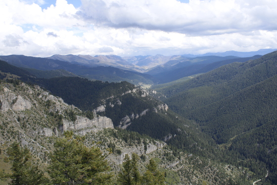 Custer Gallatin National Forest