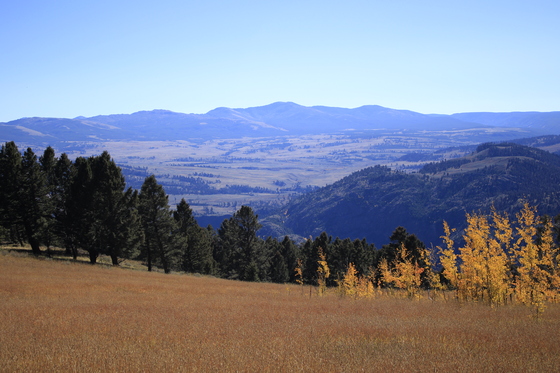 Gallatin National Forest