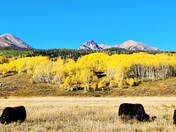 White River National Forest