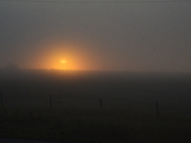 Foggy Morning Sunrise 