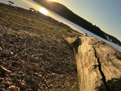 Beaver Lake Horseshoe Bend 