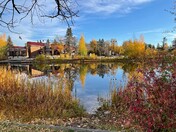 Thanksgiving Reflection