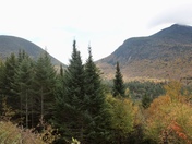 White Mountains National Forest