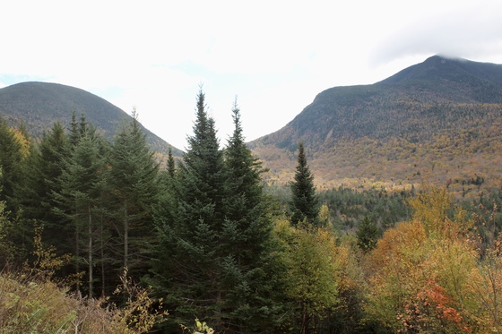 White Mountains National Forest