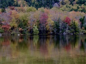 White Mountains National Forest
