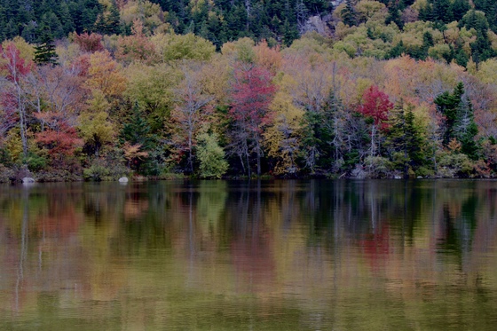 White Mountains National Forest