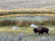 Yellowstone National Park