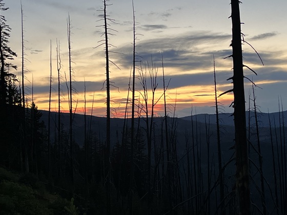 Yellowstone National Park