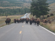 Yellowstone National Park 
