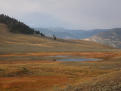 Yellowstone National Park