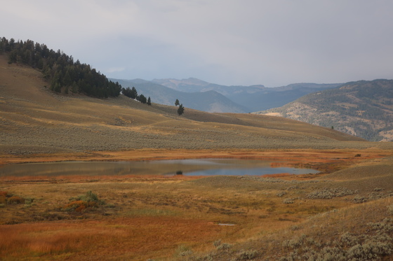 Yellowstone National Park