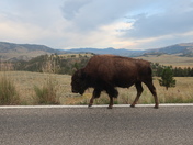 Yellowstone National Park