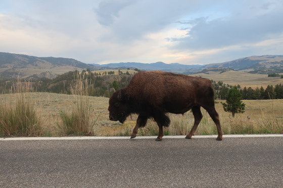 Yellowstone National Park