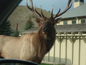 Yellowstone National Park