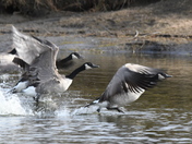Takeoff