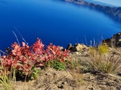 Crater Lake National Park
