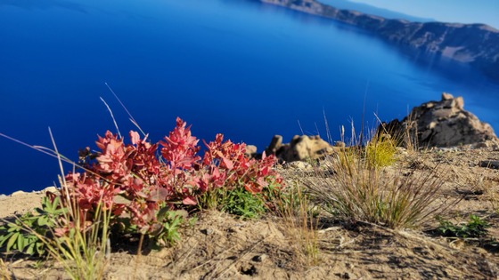 Crater Lake National Park