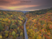 Journey Through Fall Colours