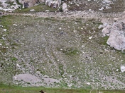 Rocky Mountain National Park