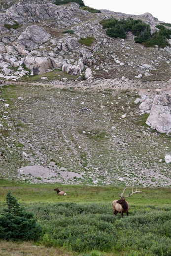 Rocky Mountain National Park