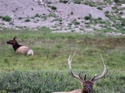 Rocky Mountain National Park