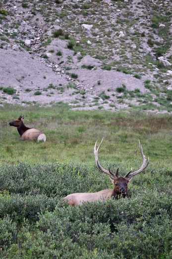 Rocky Mountain National Park